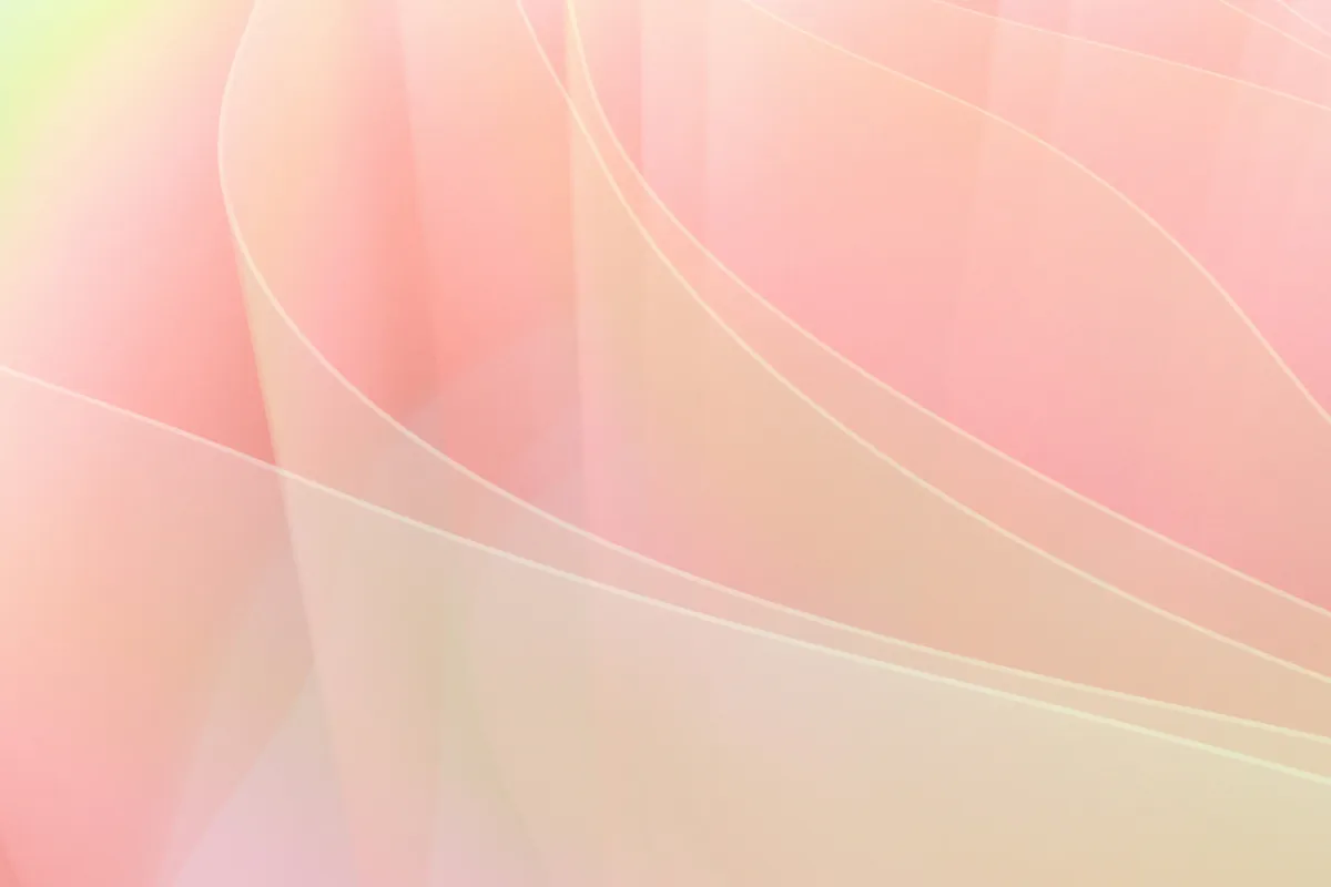 Design system components illustration